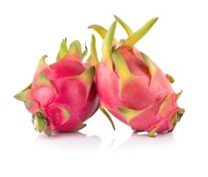 פתאייה אדומה 