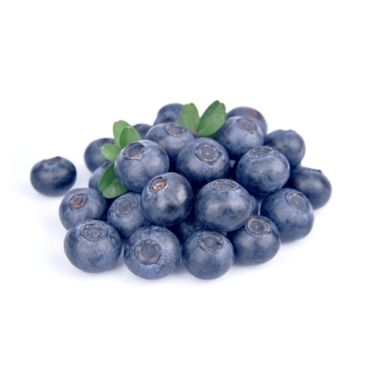 אוכמניות יבוא 