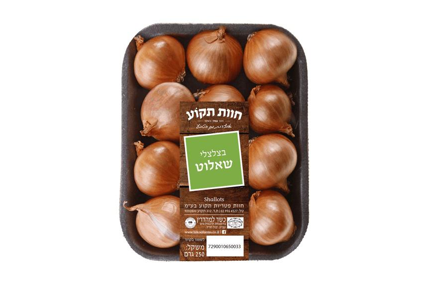 בצל שאלוט 