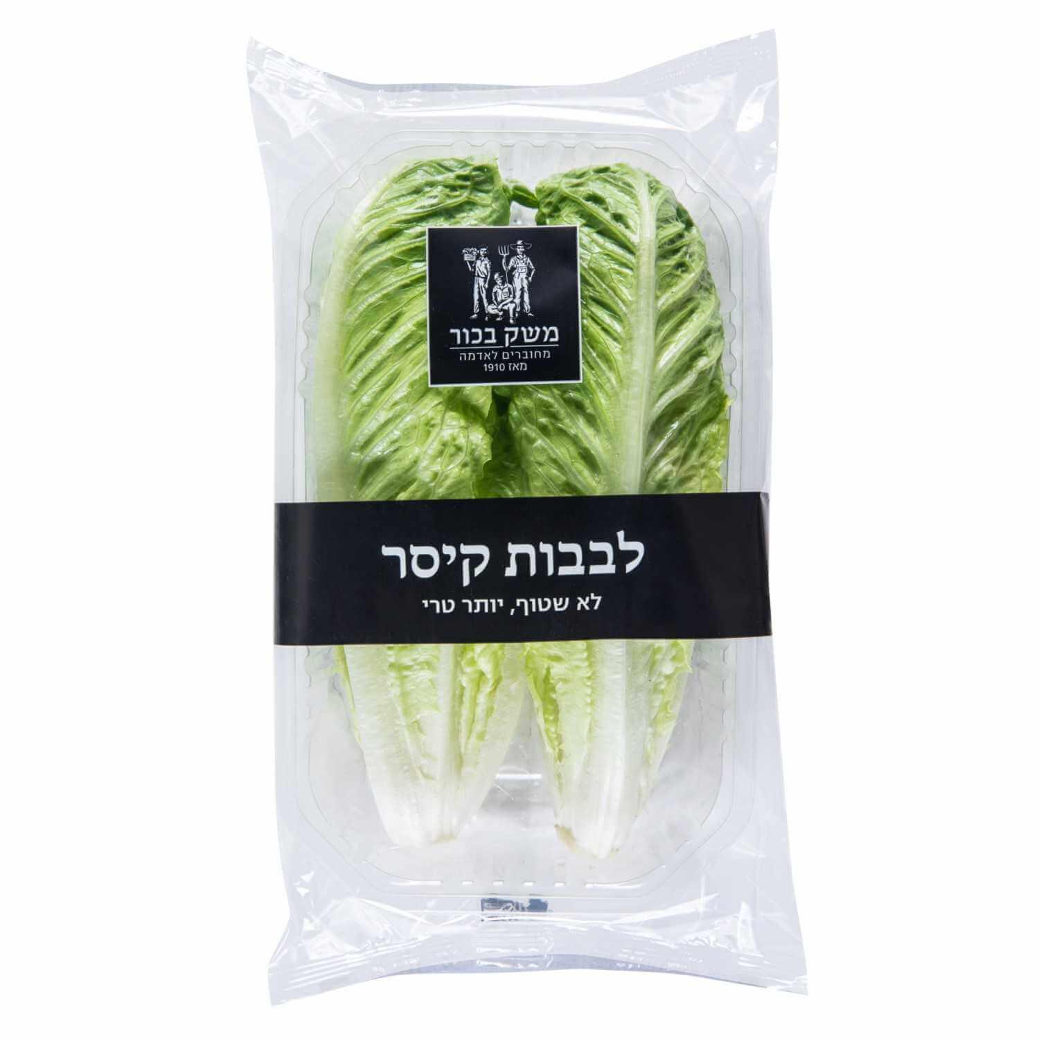 חסה לבבות קיסר בכור 