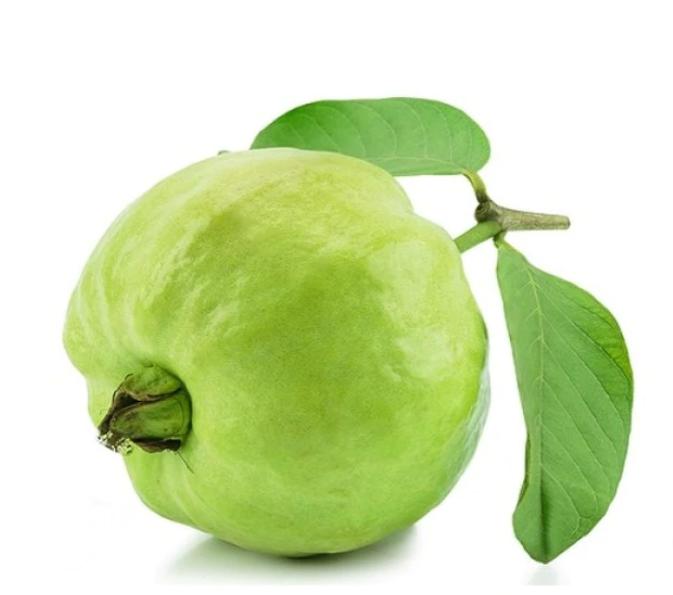 גויאבה 