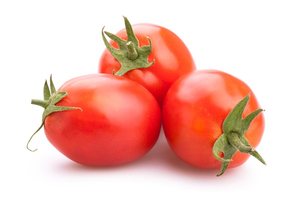 עגבניות תמר