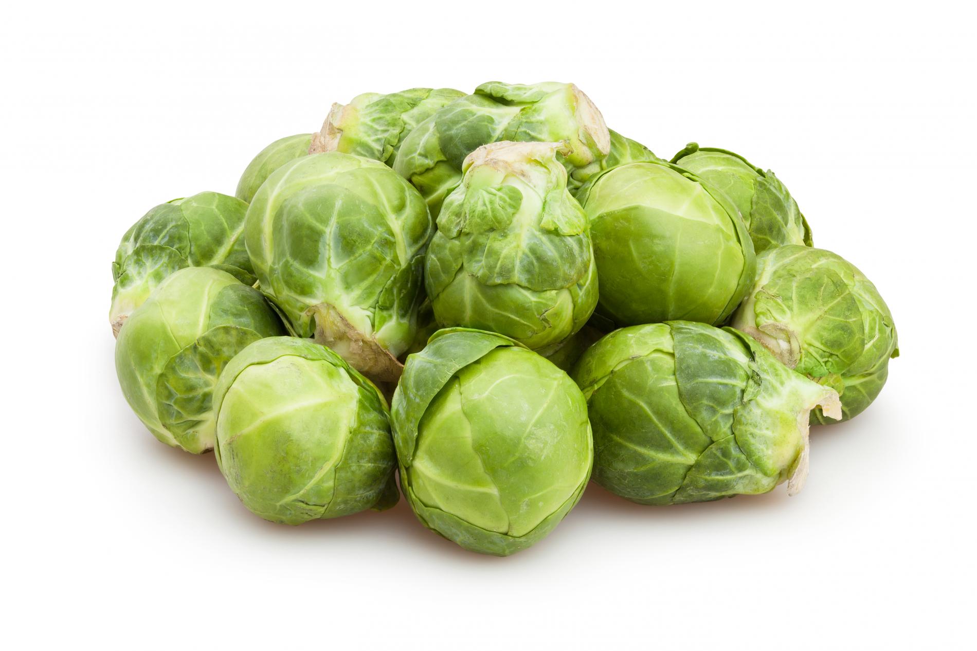 כרוב ניצנים